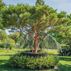 Les jardins
