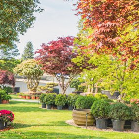 Les jardins