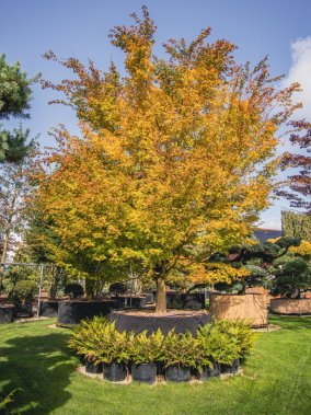 Professionnels &amp; privés