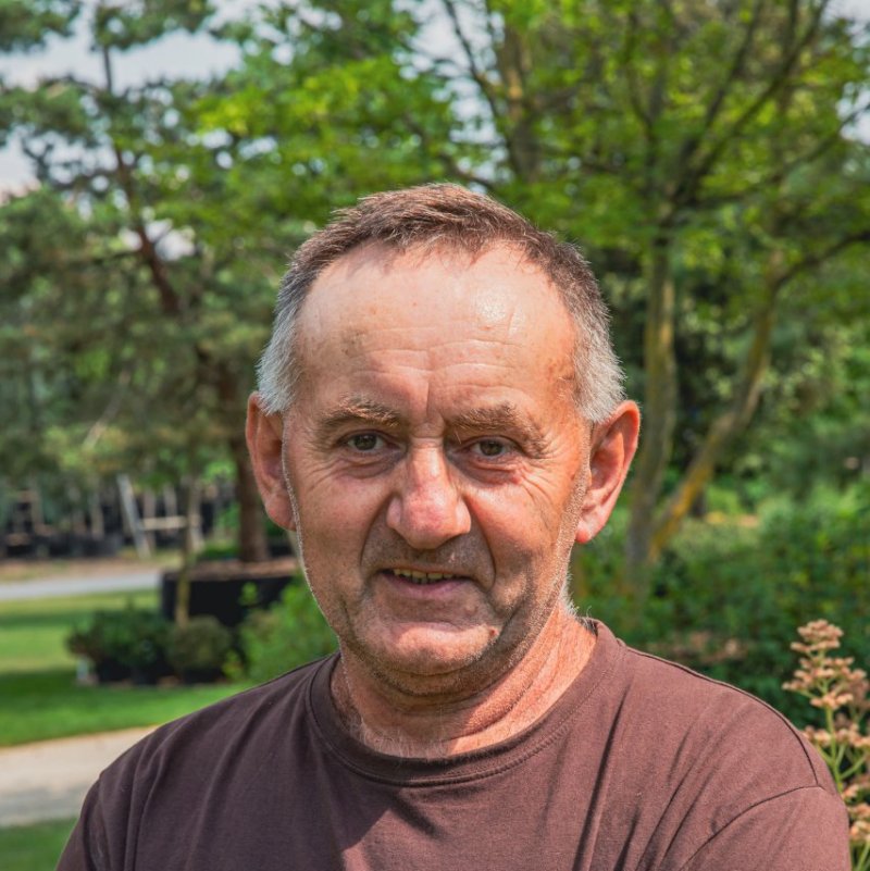 Zoran Arsenovic