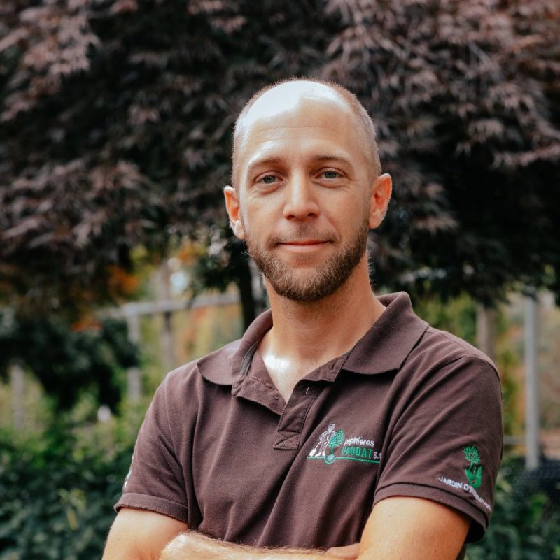 Alexandre Krieg