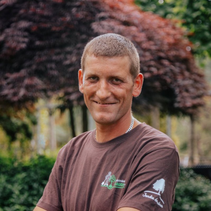 Kamil Procnal